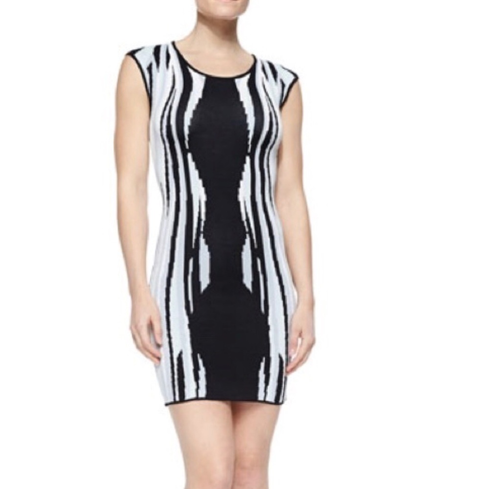 Parker Bodycon Dress